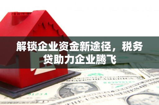 老河口解锁企业资金新途径，税务贷助力企业腾飞